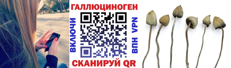 сколько стоит  Нарьян-Мар  Галлюциногенные грибы прущие грибы 