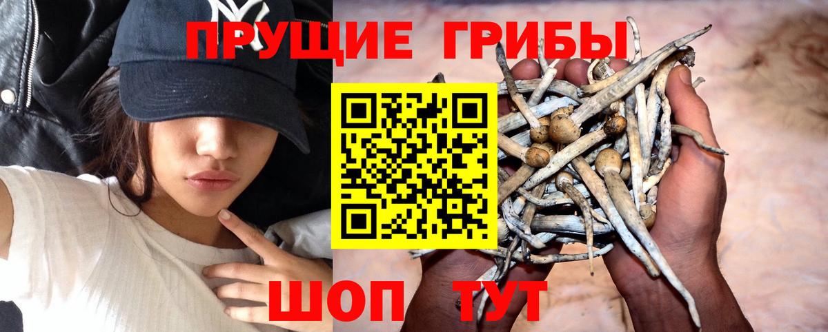 Псилоцибиновые грибы MAGIC MUSHROOMS  Нарьян-Мар 